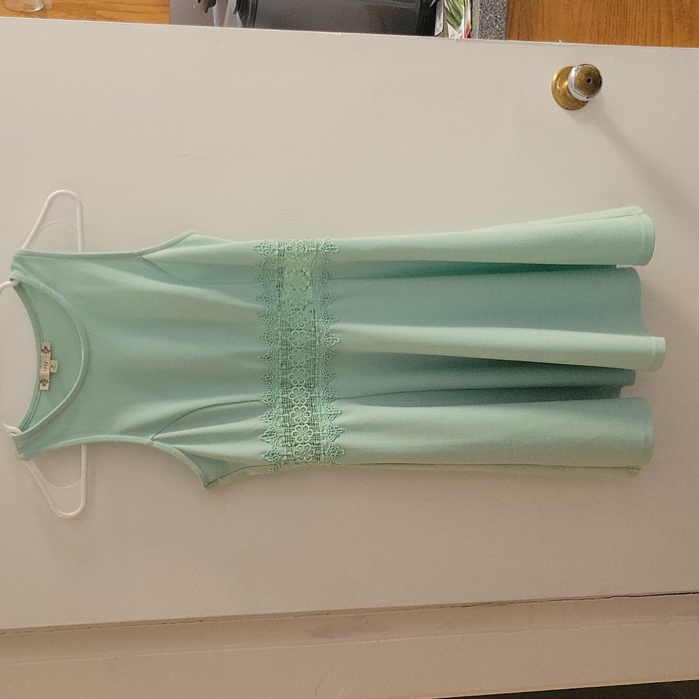 Blue skater dress